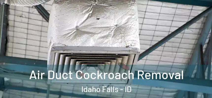  Air Duct Cockroach Removal Idaho Falls - ID