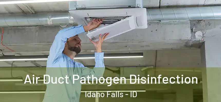Air Duct Pathogen Disinfection Idaho Falls - ID