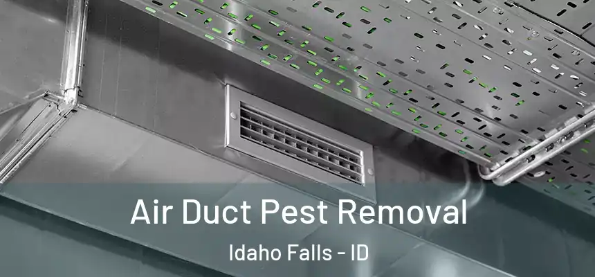  Air Duct Pest Removal Idaho Falls - ID