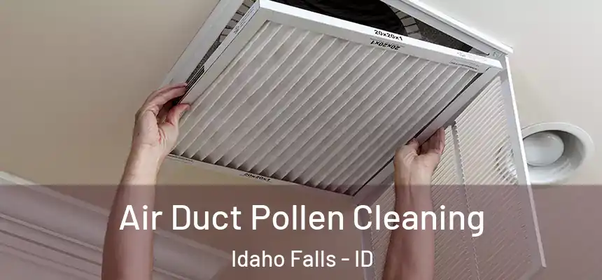  Air Duct Pollen Cleaning Idaho Falls - ID