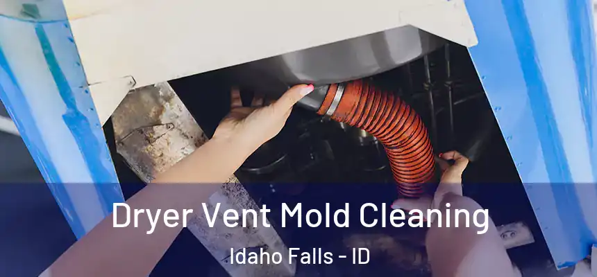 Dryer Vent Mold Cleaning Idaho Falls - ID