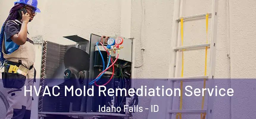  HVAC Mold Remediation Service Idaho Falls - ID