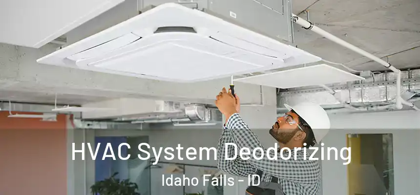  HVAC System Deodorizing Idaho Falls - ID