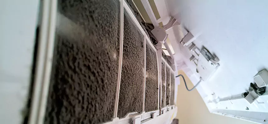 Preventive Air Duct Bacteria Removal in Idaho Falls