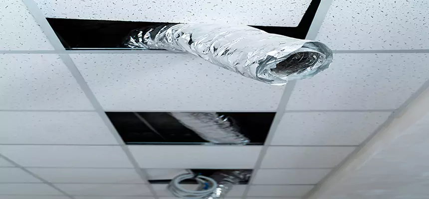 Affordable HVAC Sanitizing After Pest Removal in Idaho Falls