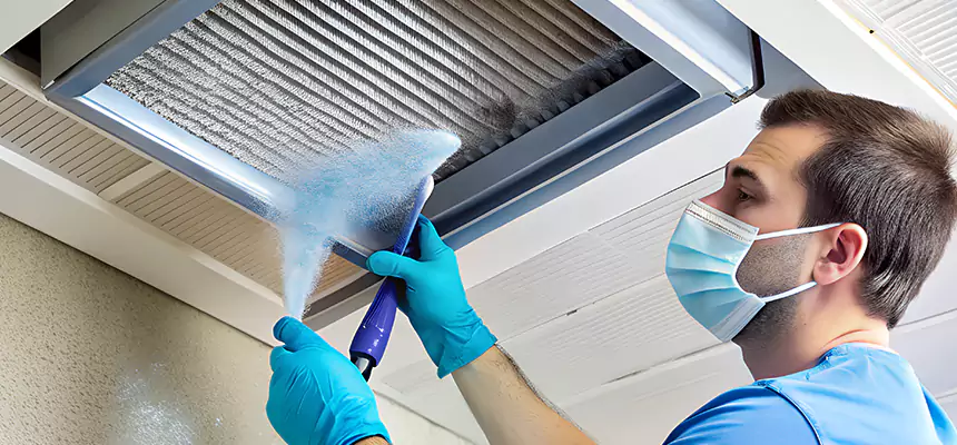 Proactive Dryer Vent & Auxiliary Duct Pollen Cleanup in Idaho Falls, ID