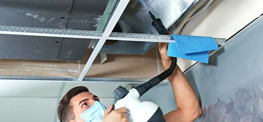 Our Air Duct Rodent Removal Services in Idaho Falls, ID