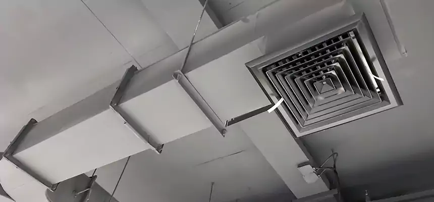 Restorative Allergy Relief Vent Cleaning – Coil, Blower & Housing Detail in Idaho Falls