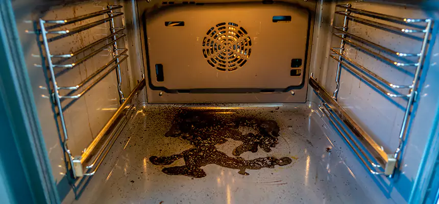 Our Dryer Vent Mold Cleaning Services in Idaho Falls, ID