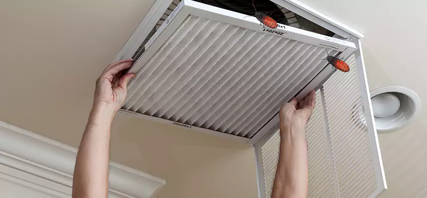Our Insect Removal from Air Ducts Services in Idaho Falls, ID
