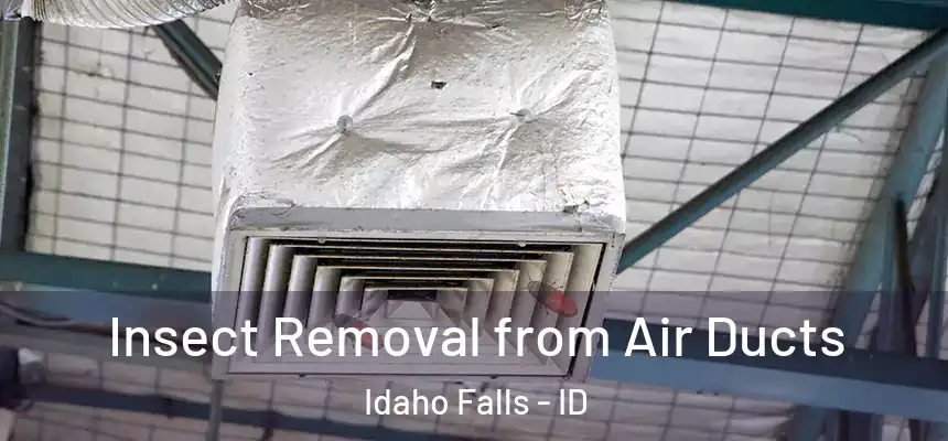Insect Removal from Air Ducts Idaho Falls - ID