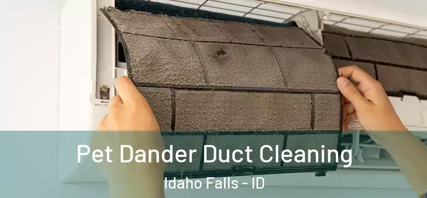 Pet Dander Duct Cleaning Idaho Falls - ID
