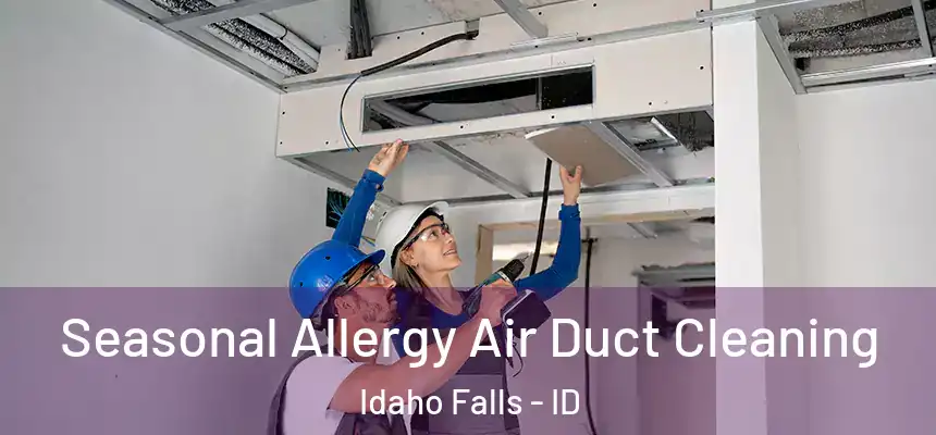  Seasonal Allergy Air Duct Cleaning Idaho Falls - ID