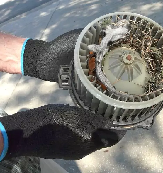 About Air Duct Rat Removal in Idaho Falls, ID