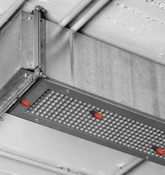 Affordable Insect Removal from Air Ducts in Idaho Falls, ID