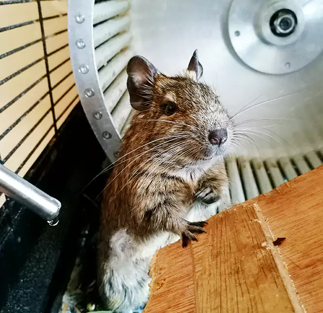 Why Homeowners & Businesses Trust Us Idaho Falls, ID