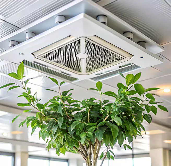 Why Homeowners & Businesses Trust Us in Idaho Falls, ID?