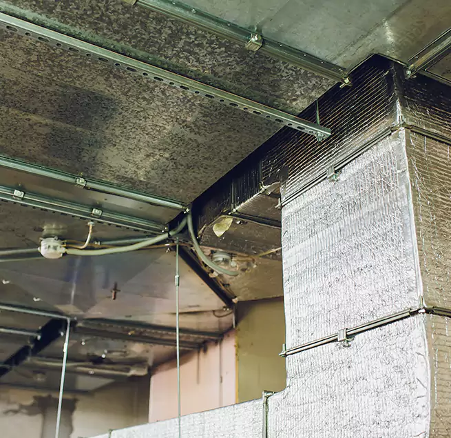 Why Homeowners & Businesses Trust Us in Idaho Falls, ID?